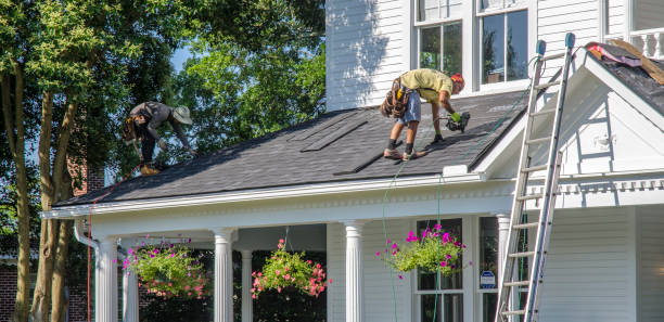 Roof Gutter Cleaning